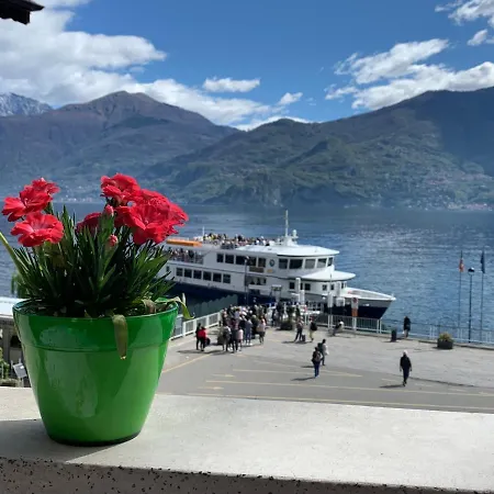 Zippity Doo Dah - - Апартаменты